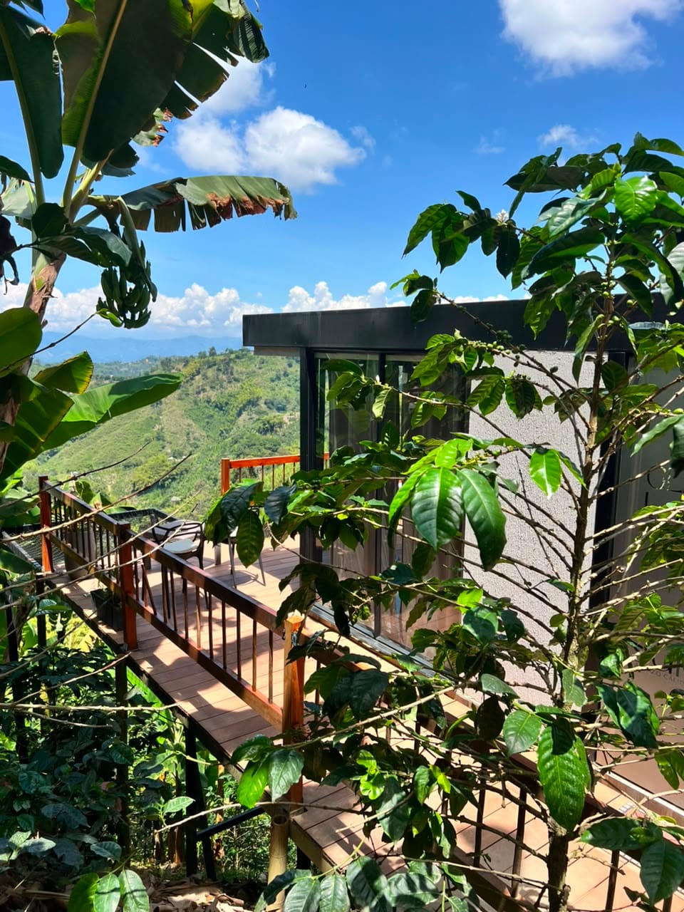 Glamping La Nonita — terraza